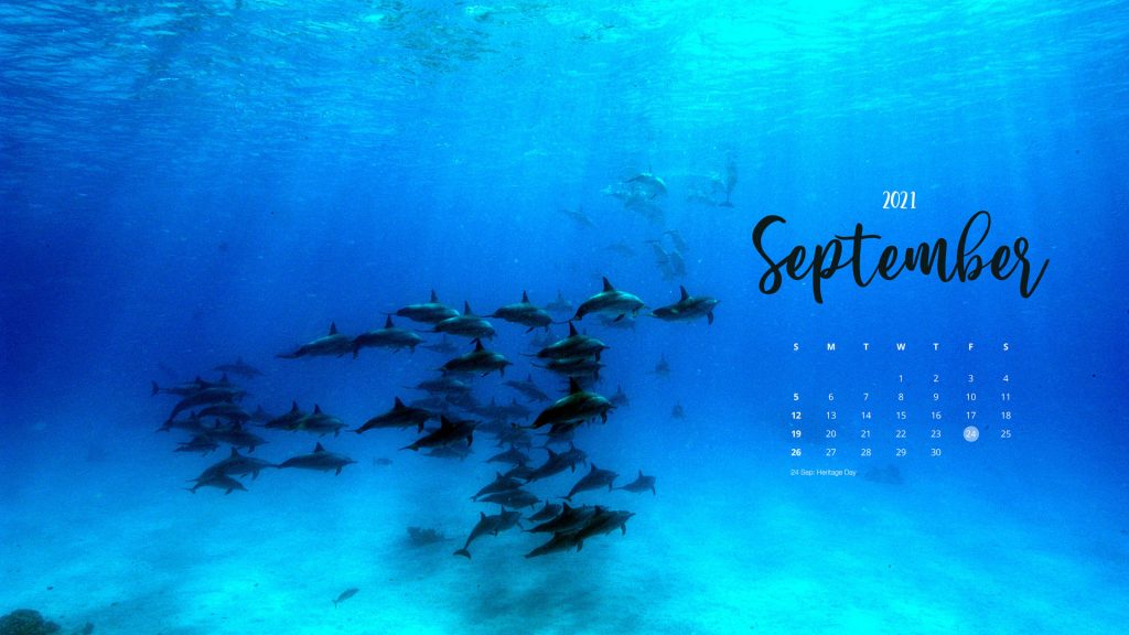 Greenpeace Africa Calendar Desktop